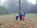 Schwerstarbeit: Verbuddeln der Blumenzwiebeln, Bild: IL