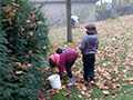 Schwerstarbeit: Verbuddeln der Blumenzwiebeln, Bild: IL